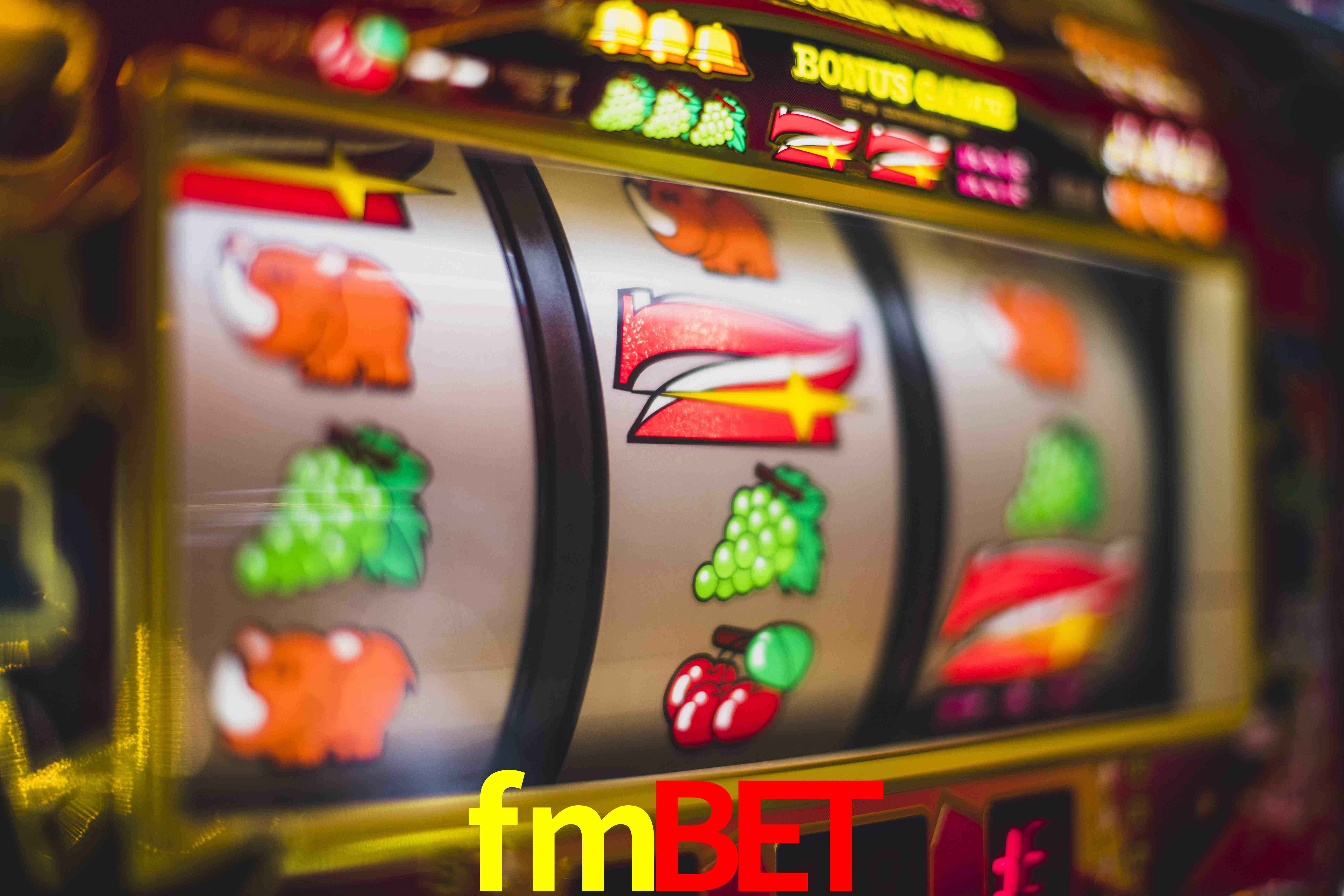 VIP Casino fmbet